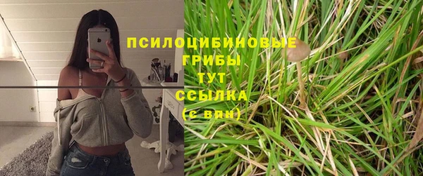 хмурый Баксан