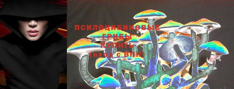 omg зеркало  Белый  Галлюциногенные грибы Magic Shrooms 